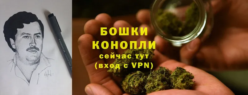 наркота  Торжок  мега ONION  Канабис THC 21% 